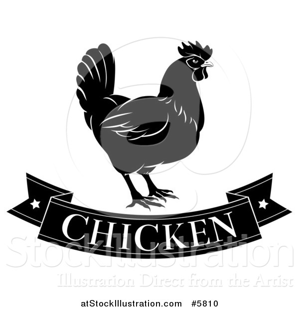 Vector Illustration of a Black and White Chicken Banner and Hen