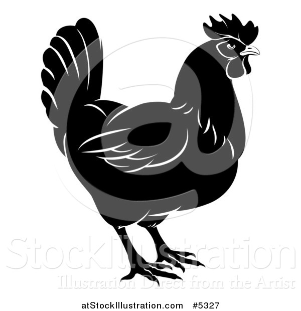 Vector Illustration of a Black and White Chicken in Profile