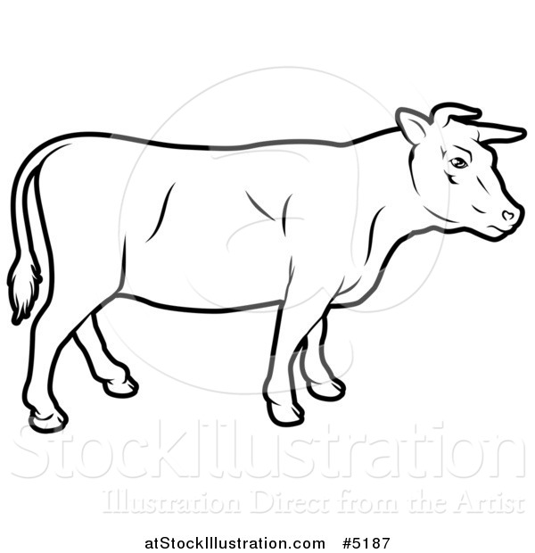 Vector Illustration of a Black and White Cow in Profile