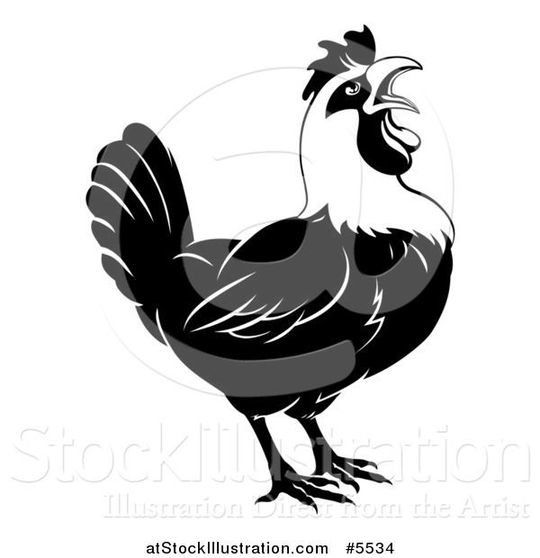 Vector Illustration of a Black and White Crowing Rooster