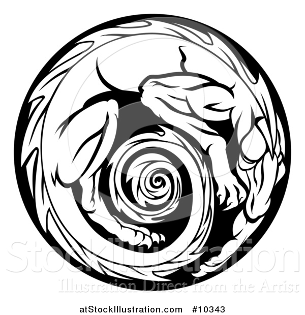 Vector Illustration of a Black and White Curled up Dragon Medallion