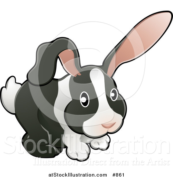 Vector Illustration of a Black and White Dutch Bunny Rabbit with Pink Ears