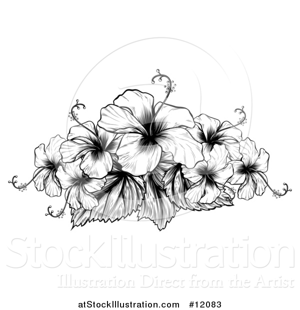 Vector Illustration of a Black and White Engraved or Woodcut Hibiscus Flower Design