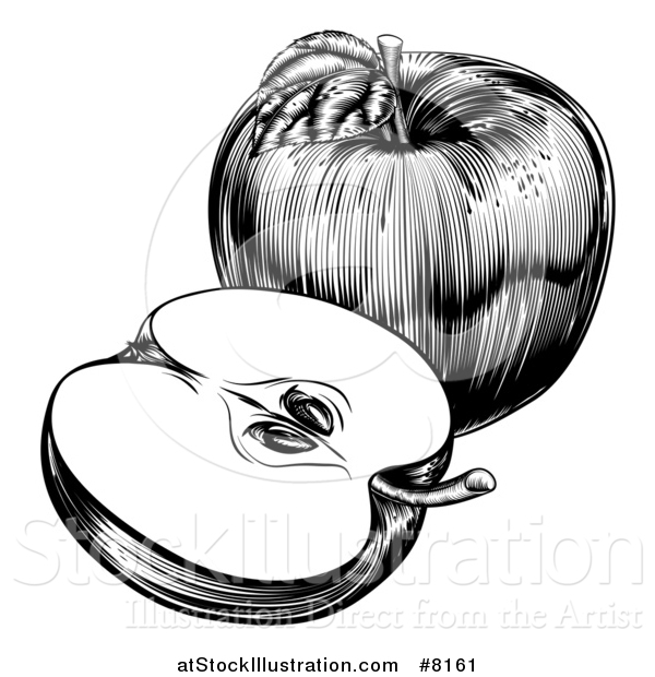 Vector Illustration of a Black and White Engraved Whole and Halved Apple