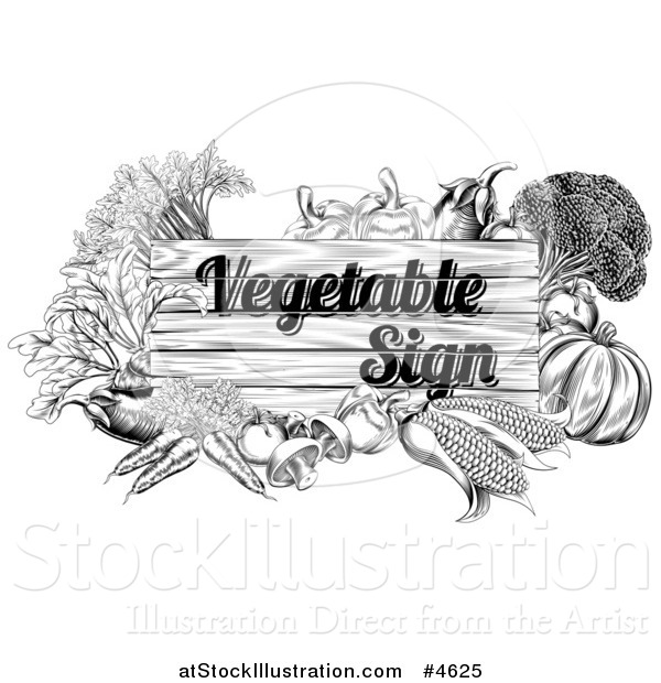 Vector Illustration of a Black and White Etched Vegetable Sign and Produce