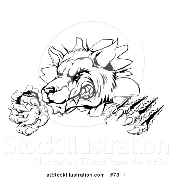 Vector Illustration of a Black and White Ferocious Wolf Slashing and Breaking Through a Wall 3