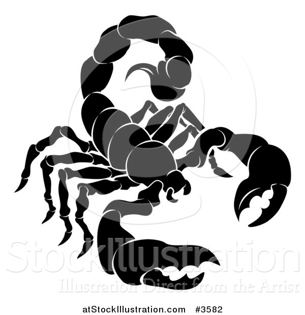 Vector Illustration of a Black and White Horoscope Zodiac Astrology Scorpio Scorpion