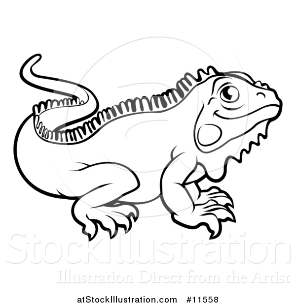 Vector Illustration of a Black and White Iguana Lizard