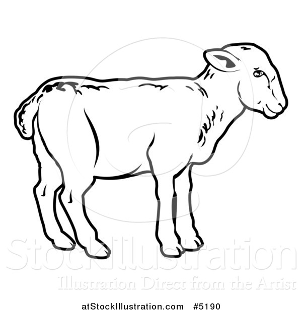 Vector Illustration of a Black and White Lamb in Profile