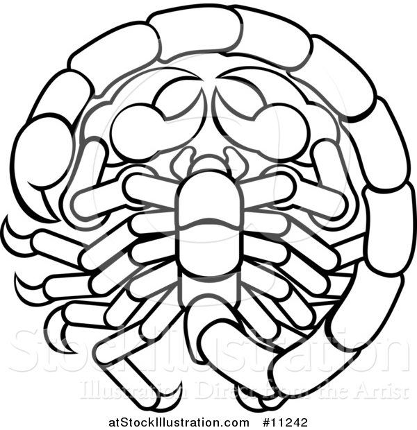 Vector Illustration of a Black and White Lineart Scorpio Scorpion Astrology Zodiac Horoscope