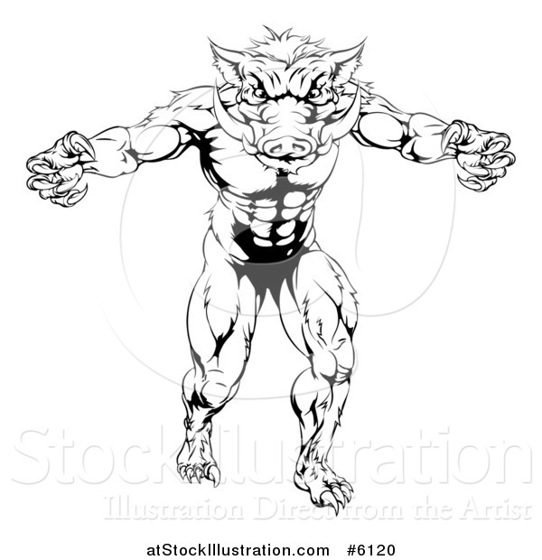 Vector Illustration of a Black and White Muscular Aggressive Boar Man Mascot Attacking