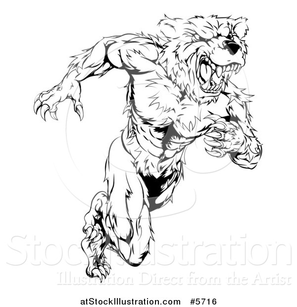 Vector Illustration of a Black and White Muscular Bear Man Running Upright