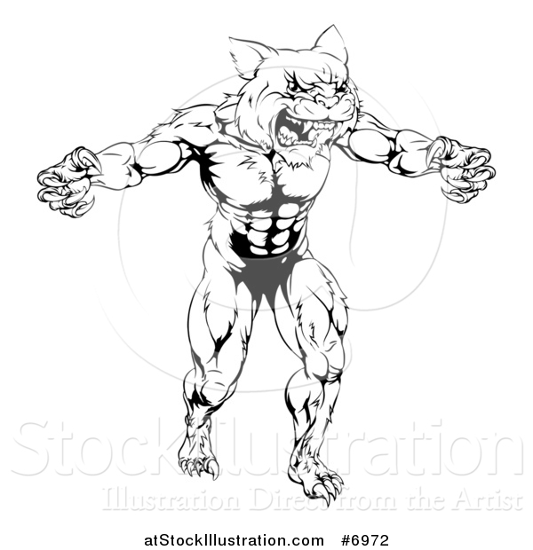 Vector Illustration of a Black and White Muscular Fierce Wildcat Man Attacking