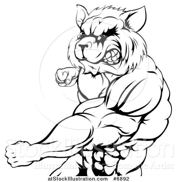 Vector Illustration of a Black and White Muscular Raccoon Man Mascot Punching from the Hips up