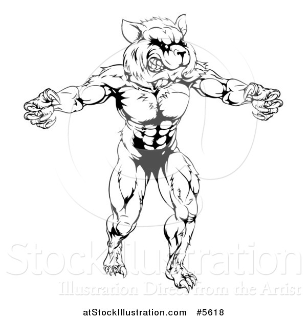 Vector Illustration of a Black and White Muscular Raccoon Mascot Standing Upright