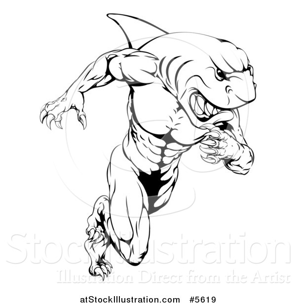 Vector Illustration of a Black and White Muscular Shark Man Mascot Running
