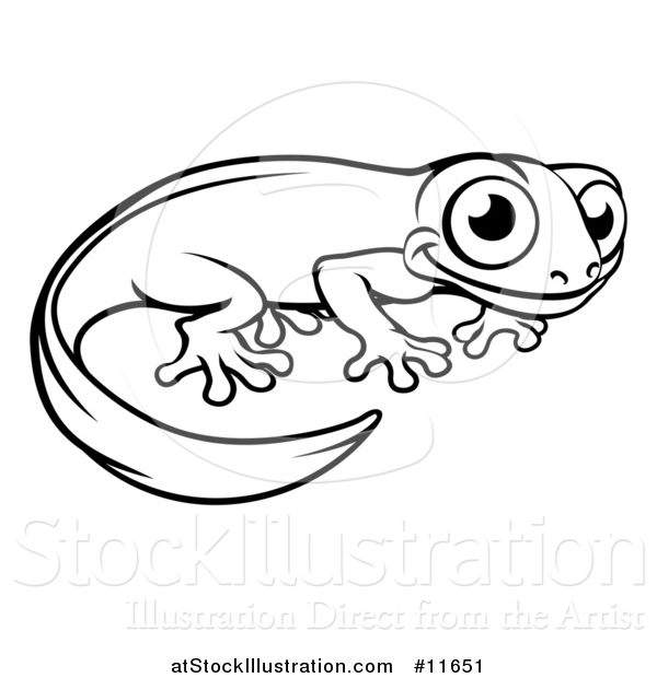 Vector Illustration of a Black and White Newt or Salamander
