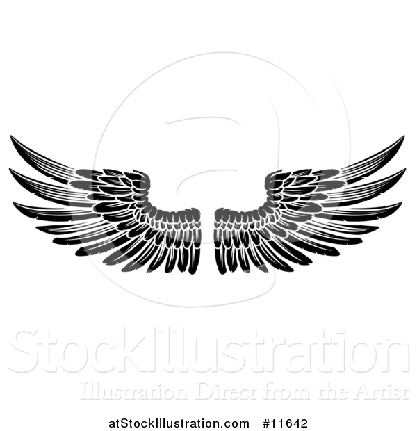 Vector Illustration of a Black and White Pair of Feathered Wings