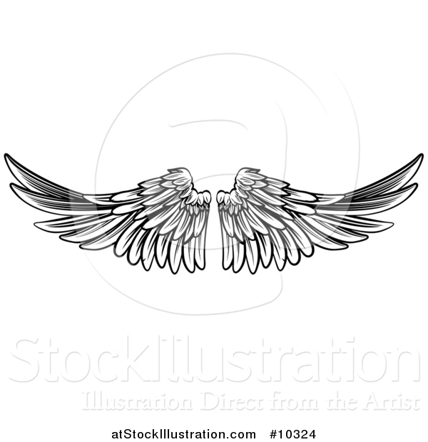 Vector Illustration of a Black and White Pair of Feathered Wings in Woodcut Style