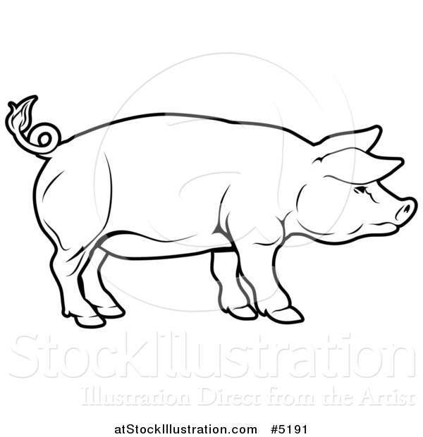 Vector Illustration of a Black and White Pig in Profile