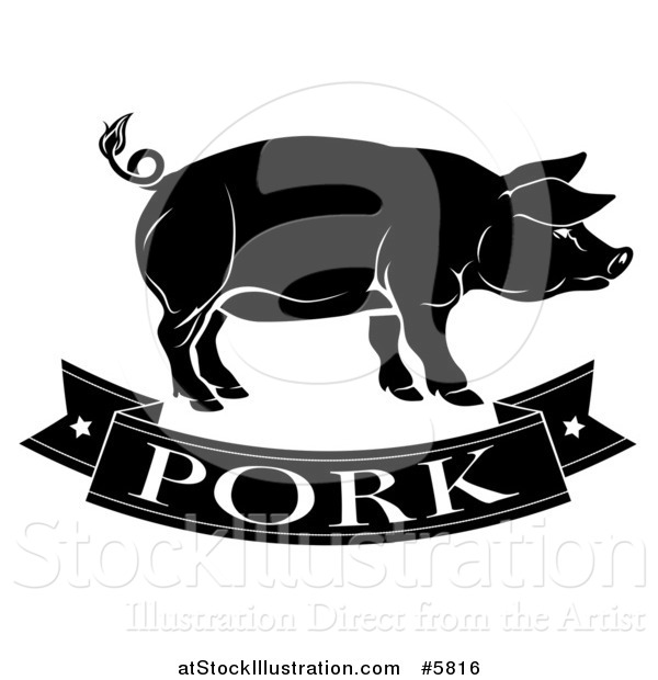 Vector Illustration of a Black and White Pork Banner and Pig