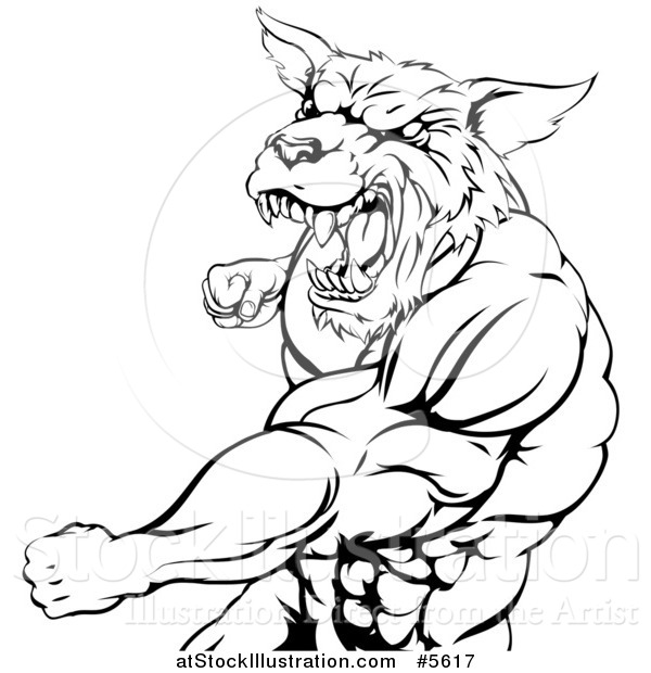 Vector Illustration of a Black and White Punching Muscular Wolf Man Mascot