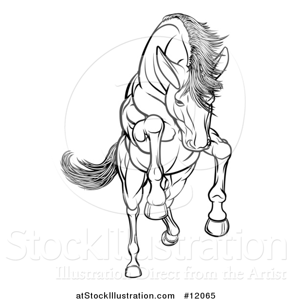 Vector Illustration of a Black and White Rearing, Charging or Jumping Horse
