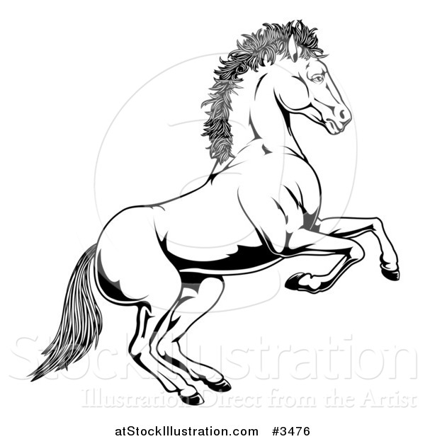 Vector Illustration of a Black and White Rearing Horse