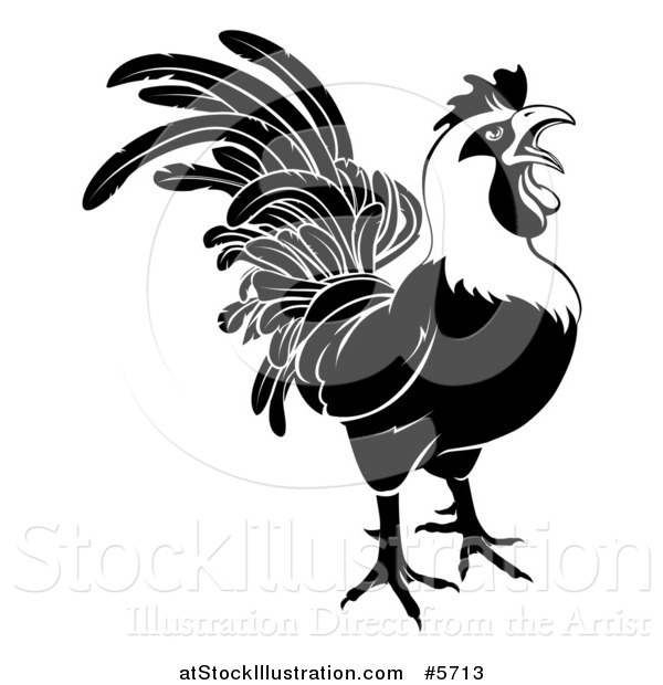 Vector Illustration of a Black and White Rooster Crowing