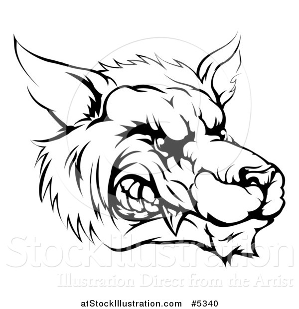 Vector Illustration of a Black and White Snarling Aggressive Wolf Mascot Head