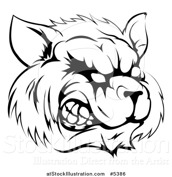 Vector Illustration of a Black and White Snarling Raccoon Mascot Head