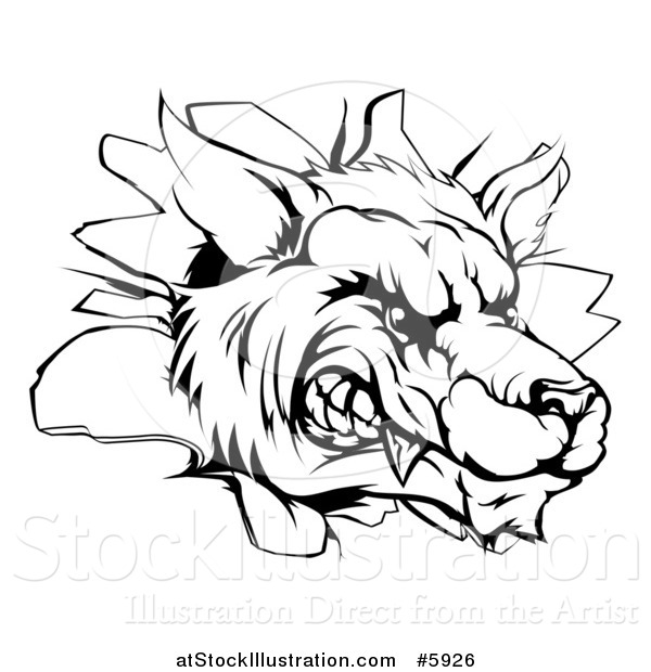Vector Illustration of a Black and White Snarling Wolf Mascot Head Breaking Through a Wall