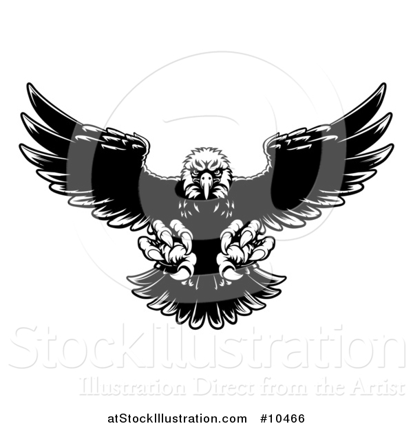 Vector Illustration of a Black and White Swooping Bald Eagle with Talons Extended