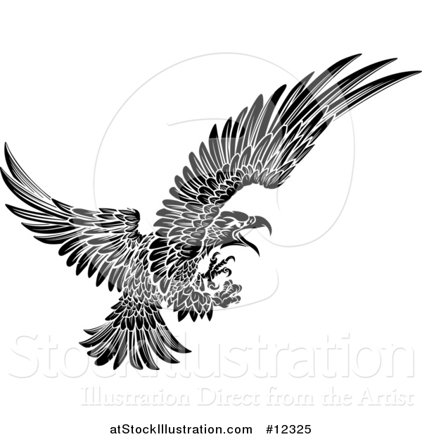 Vector Illustration of a Black and White Swooping Eagle