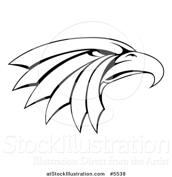 Vector Illustration of a Black and White Tough Eagle Head in Profile
