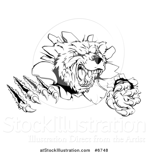 Vector Illustration of a Black and White Vicious Aggressive Bear Mascot Slashing Through a Wall