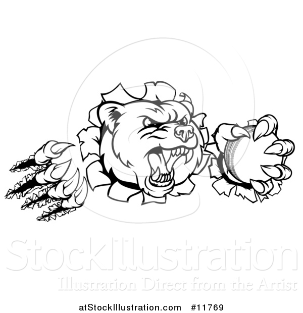 Vector Illustration of a Black and White Vicious Bear Mascot Slashing Through a Wall with a Cricket Ball in a Paw