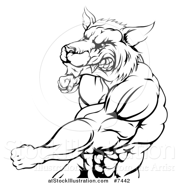 Vector Illustration of a Black and White Vicious Muscular Wolf Man Swinging a Punch