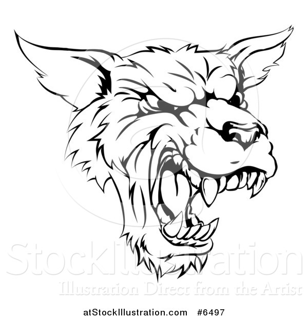 Vector Illustration of a Black and White Vicious Snarling Wolf Mascot Head