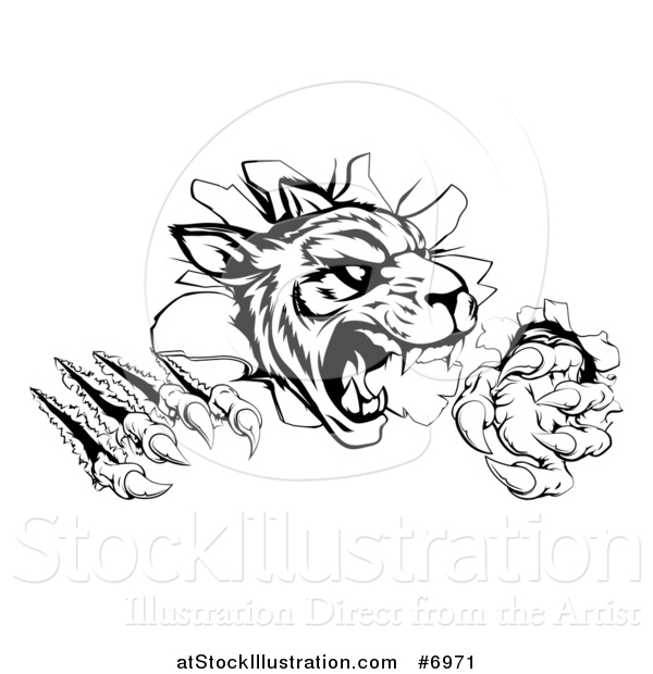 Vector Illustration of a Black and White Vicious Tiger Mascot Slashing Through a Wall