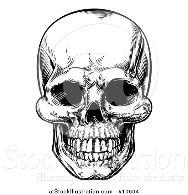 Vector Illustration of a Black and White Woodcut Etched or Engraved Skull