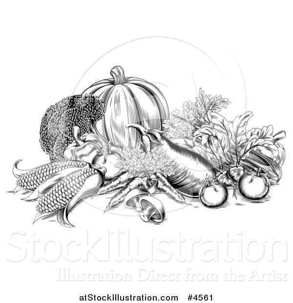 Vector Illustration of a Black and White Woodcut Harvest Vegetables
