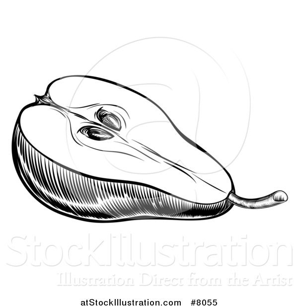 Vector Illustration of a Black and White Woodcut or Engraved Halved Pear
