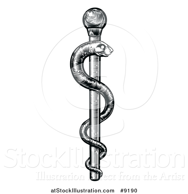 Vector Illustration of a Black and White Woodcut or Engraved Medical Rod of Asclepius with a Snake