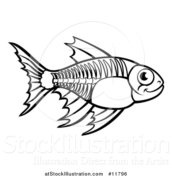 Vector Illustration of a Black and White Xray Fish