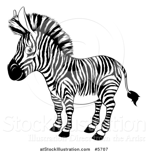 Vector Illustration of a Black and White Zebra