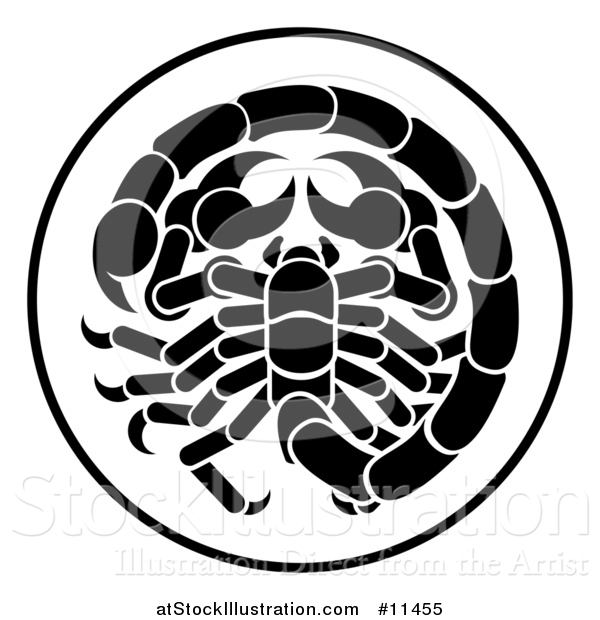 Vector Illustration of a Black and White Zodiac Horoscope Astrology Scorpio Circle Design