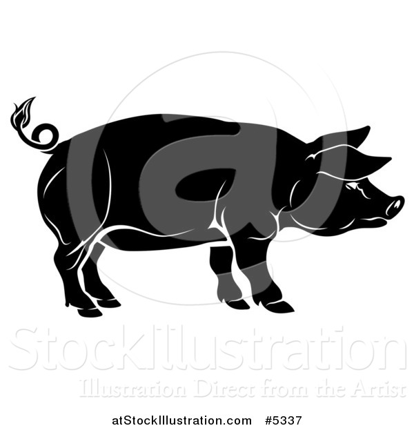 Vector Illustration of a Black Pig in Profile