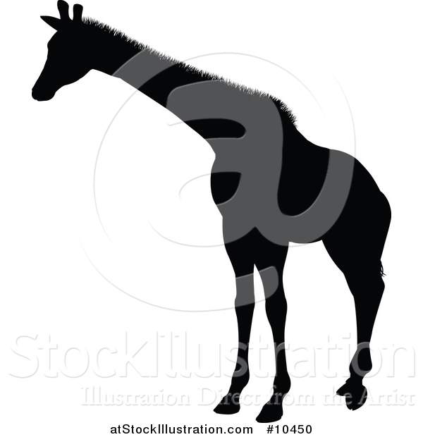 Vector Illustration of a Black Silhouetted Giraffe