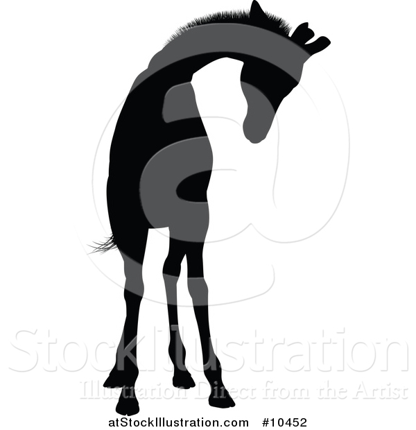 Vector Illustration of a Black Silhouetted Giraffe